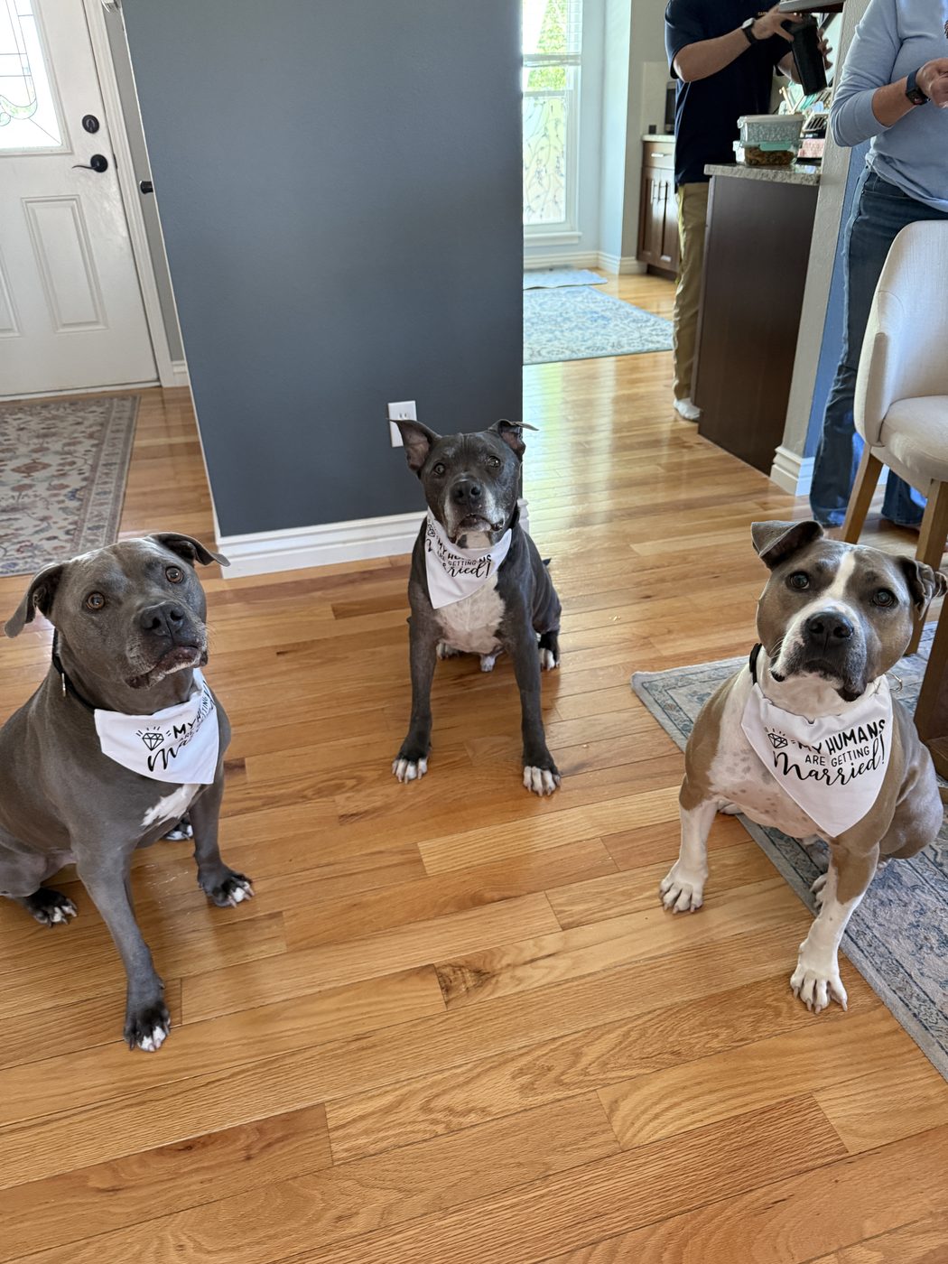 Dobby, Dexter and Benson